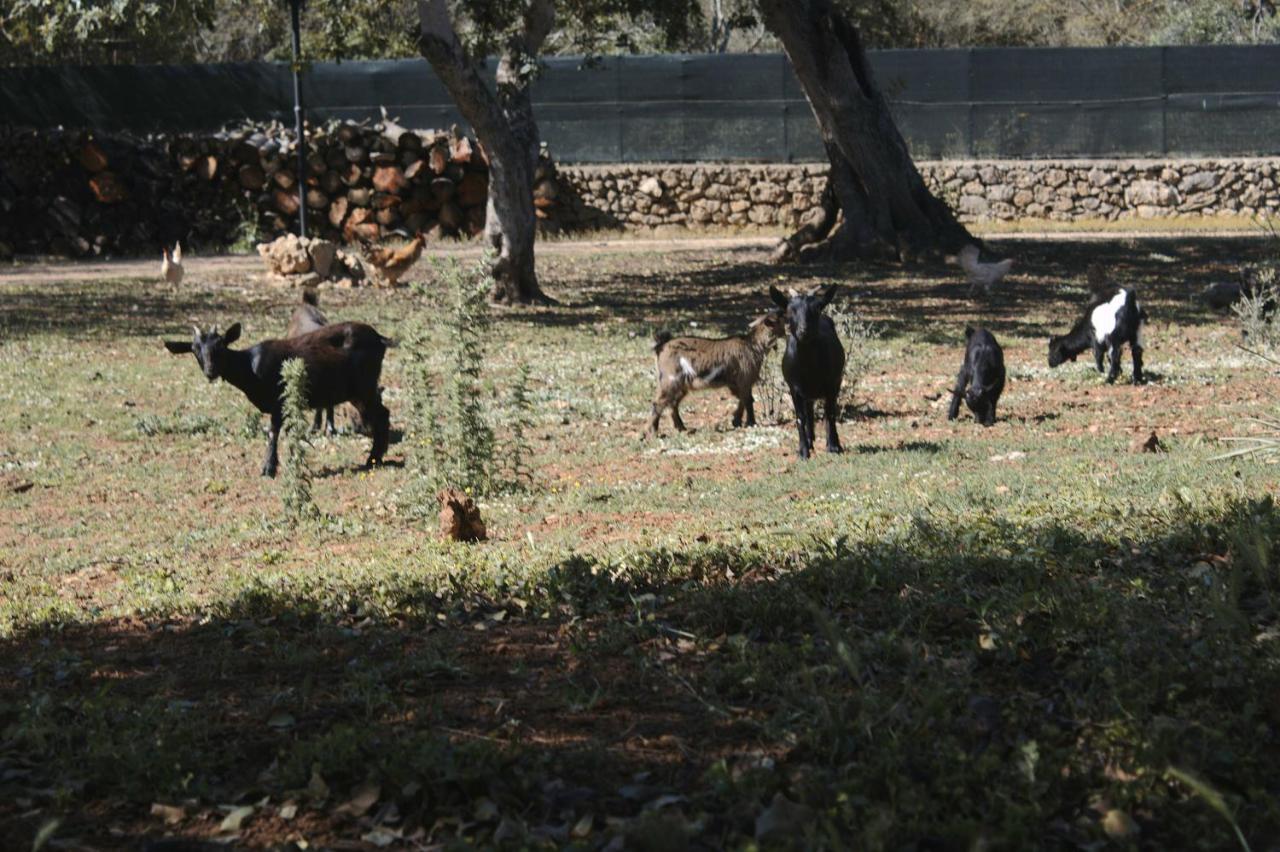 Tenuta Ferraro Gallipoli Dış mekan fotoğraf