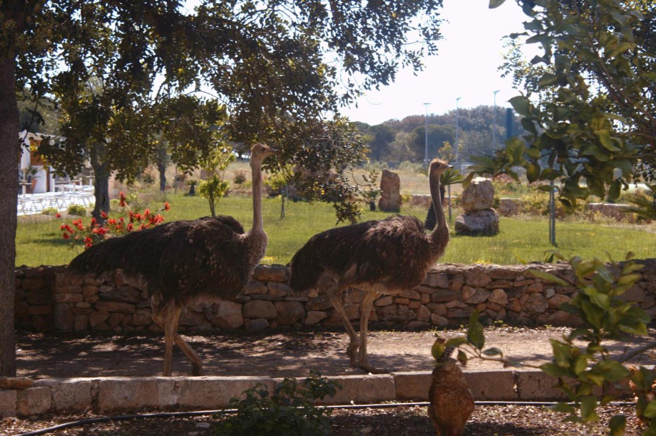 Tenuta Ferraro Gallipoli Dış mekan fotoğraf