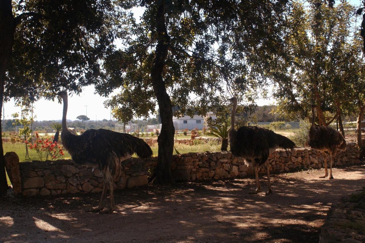 Tenuta Ferraro Gallipoli Dış mekan fotoğraf