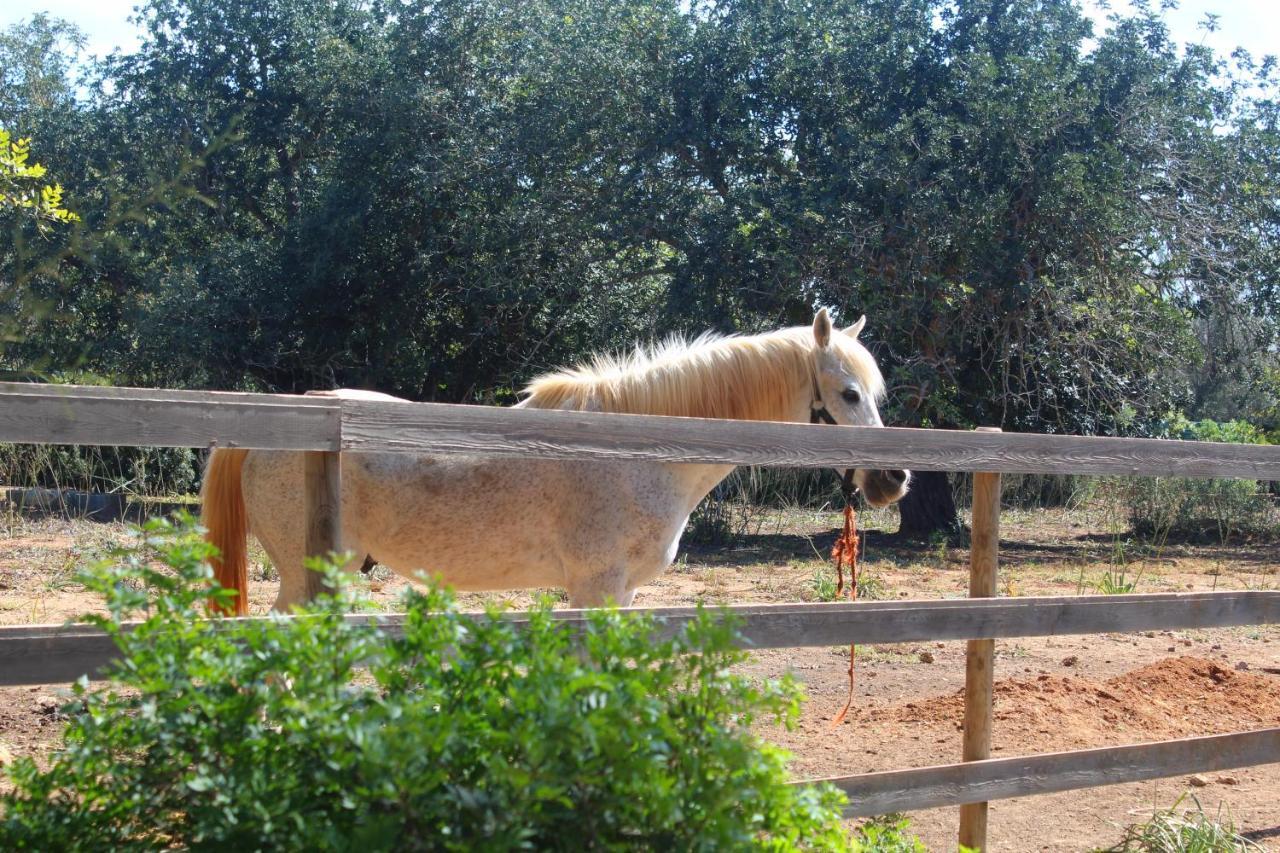 Tenuta Ferraro Gallipoli Dış mekan fotoğraf