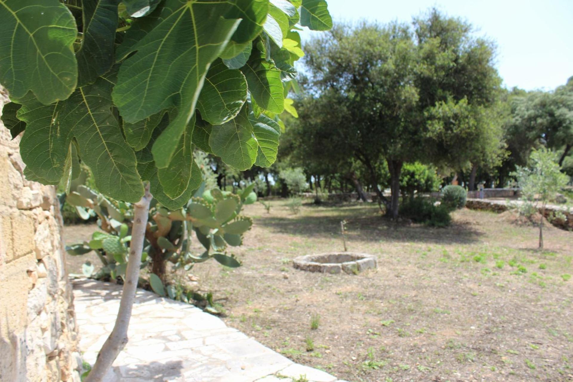 Tenuta Ferraro Gallipoli Dış mekan fotoğraf