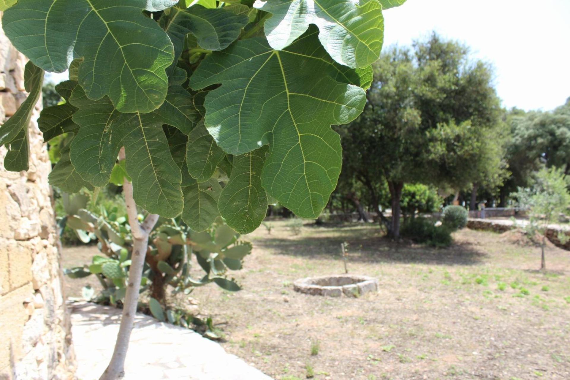 Tenuta Ferraro Gallipoli Dış mekan fotoğraf