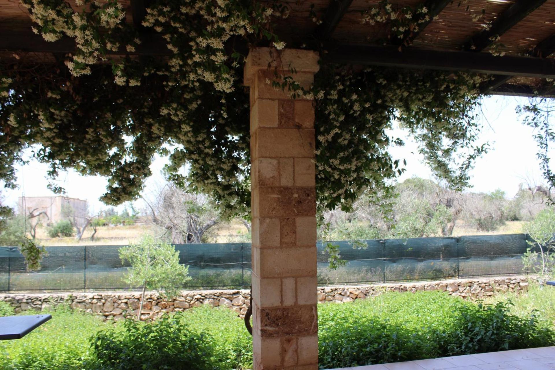 Tenuta Ferraro Gallipoli Dış mekan fotoğraf